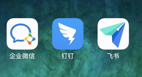 月活差钉钉42倍，后来者飞书何时才能实现飞跃？